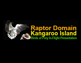 Raptor Domain